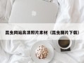 高密昆虫网站高清照片素材（昆虫图片下载）